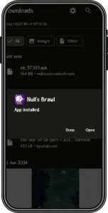 Nulls Brawl oyununu yükledikten sonra açma ve oynama ekran görüntüsü – mobil arayüz